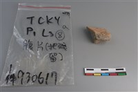 陶片藏品圖，第2張