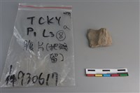 陶片藏品圖，第3張