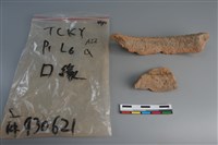 陶片藏品圖，第2張