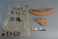 陶片藏品圖，第3張