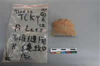 陶片藏品圖，第3張