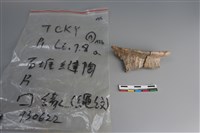 陶片藏品圖，第1張