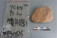 陶片藏品圖，第1張