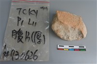 陶片藏品圖，第2張