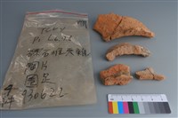 陶片藏品圖，第1張