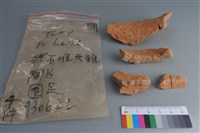 陶片藏品圖，第2張