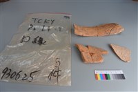 陶片藏品圖，第2張