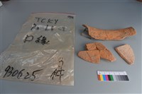 陶片藏品圖，第3張