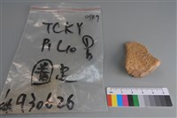 陶片藏品圖，第2張