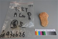 陶片藏品圖，第3張