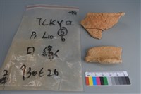 陶片藏品圖，第1張