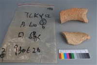 陶片藏品圖，第2張