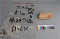 陶片藏品圖，第1張