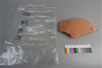 陶片藏品圖，第1張