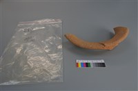 陶片藏品圖，第2張