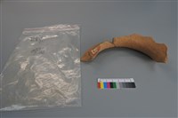 陶片藏品圖，第3張