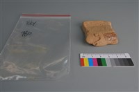 陶片藏品圖，第2張