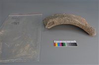 陶片藏品圖，第1張