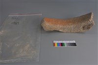 陶片藏品圖，第2張