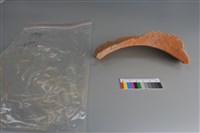 陶片藏品圖，第4張