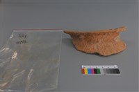 陶片藏品圖，第1張