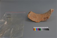 陶片藏品圖，第4張