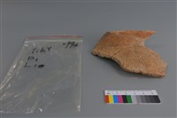 陶片藏品圖，第1張