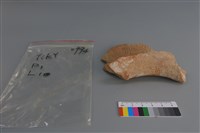 陶片藏品圖，第2張