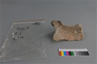 陶片藏品圖，第2張