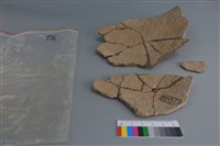 陶片藏品圖，第2張