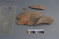 陶片藏品圖，第3張