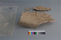 陶片藏品圖，第4張