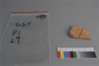 陶片藏品圖，第1張