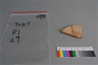 陶片藏品圖，第2張