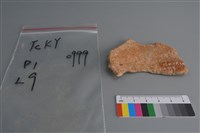 陶片藏品圖，第2張