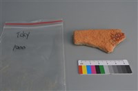 陶片藏品圖，第2張