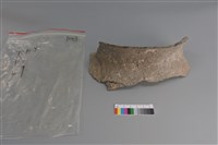 陶片藏品圖，第1張