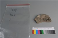 陶片藏品圖，第2張