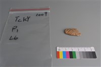 陶片藏品圖，第1張