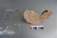 陶片藏品圖，第3張