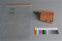 陶片藏品圖，第3張