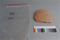 陶片藏品圖，第1張