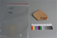 陶片藏品圖，第2張