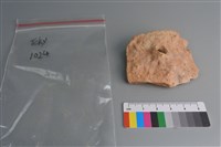 陶片藏品圖，第1張