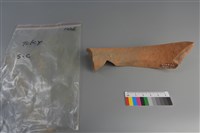 陶片藏品圖，第2張