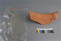 陶片藏品圖，第2張