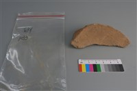 陶片藏品圖，第2張