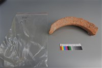 陶片藏品圖，第2張