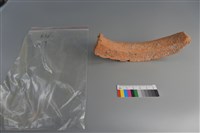 陶片藏品圖，第4張