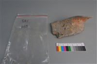 陶片藏品圖，第1張